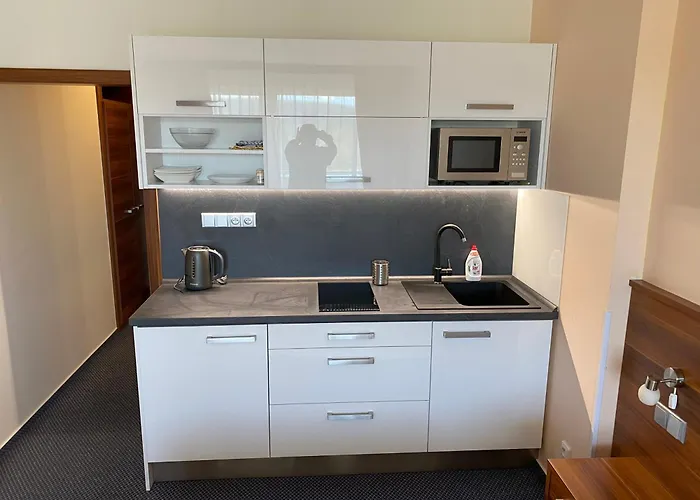 Apartmany Wellness Frymburk